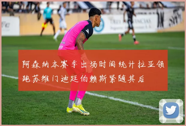 阿森纳本赛季出场时间统计拉亚领跑苏维门迪廷伯赖斯紧随其后
